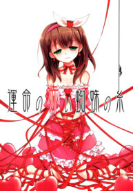 Cover 41778