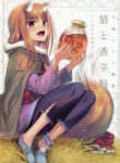 Cover 41892