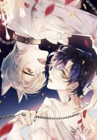 Cover 41912
