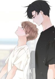 Cover 42002