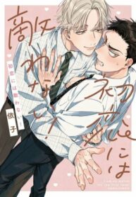 Cover 42129