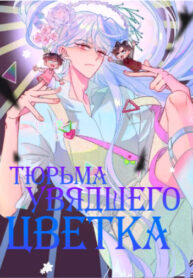 Cover 42142