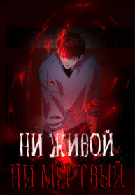 Cover 42279