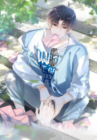 Cover 42425