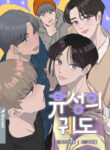 Cover 42511