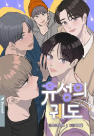 Cover 42511