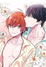 Cover 42512