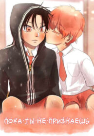 Cover 42550