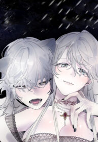 Cover 42618