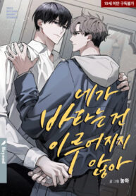 Cover 42652