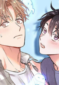 Cover 42698