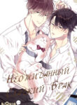 Cover 42700