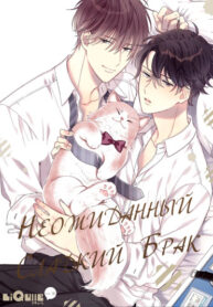 Cover 42700