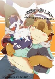 Cover 42706