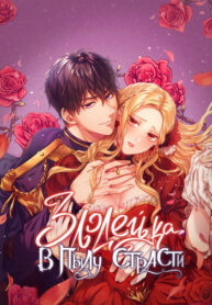 Cover 42804