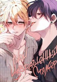 Cover 42856