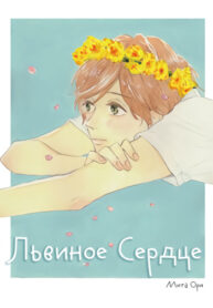 Cover 42904