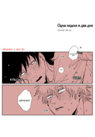 Cover 42905