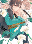 Cover 43008