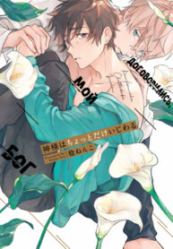 Cover 43008