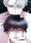 Cover 43009