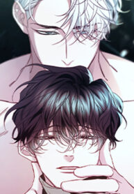 Cover 43009