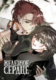 Cover 43040