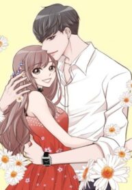 Cover 43042