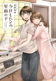 Cover 43061