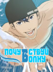 Cover 43064