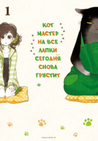 Cover 43100