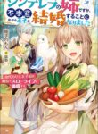 Cover 43101