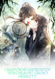 Cover 43124