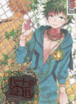 Cover 43254