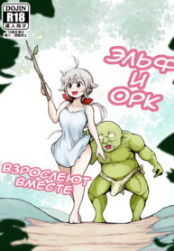 Cover 43280