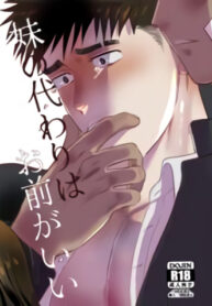Cover 43286