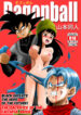 Cover 43289