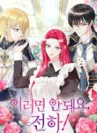 Cover 43340