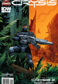Cover 43345