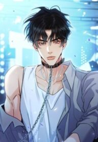 Cover 43382