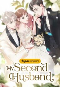 Cover 43388