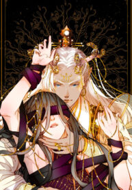 Cover 43478
