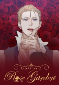 Cover 43556