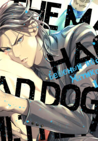 Cover 43561