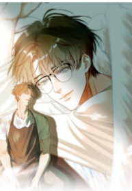 Cover 43566