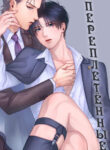 Cover 43580