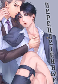 Cover 43580