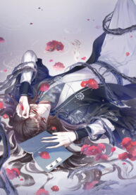 Cover 43619