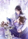 Cover 43658