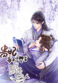 Cover 43658